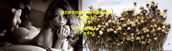 сатива Верхнеуральск