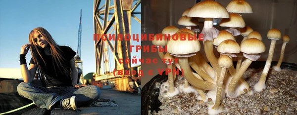 сатива Верхнеуральск