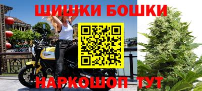 наркотики Сланцы