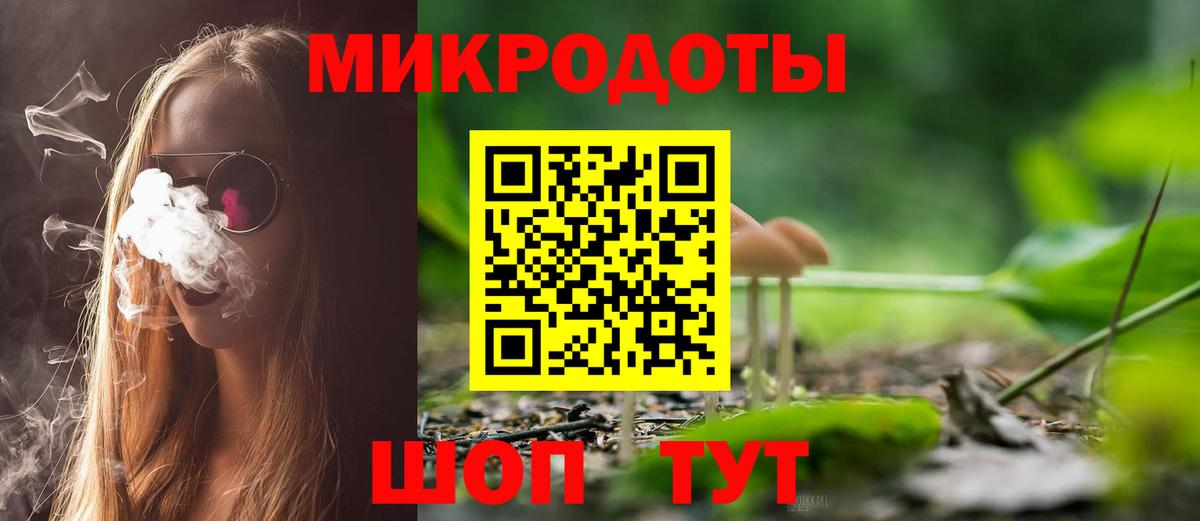 Славянск-на-Кубани  наркота  Вход с VPN  Псилоцибиновые грибы мицелий 